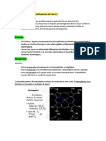 Resumen 1 Fisiopato