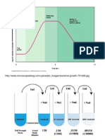 Bacterial Growth
