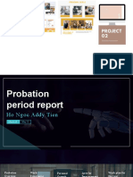 Probation Report
