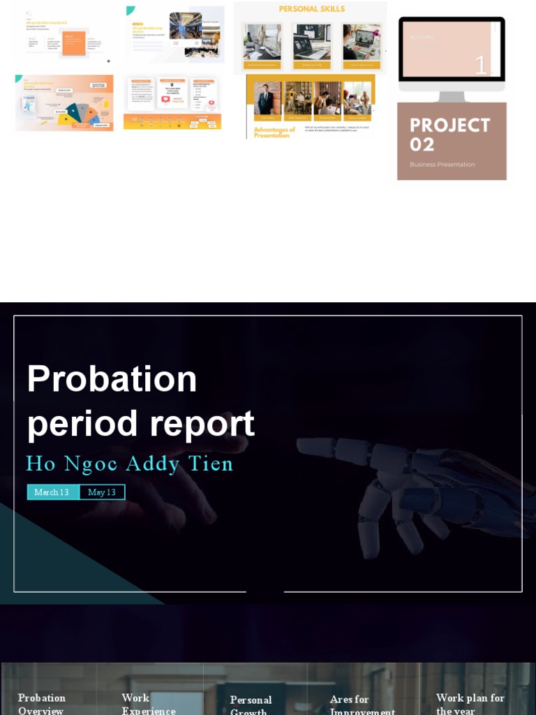 Probation Period Report: Insights & Growth | PDF | Behavioural Sciences ...