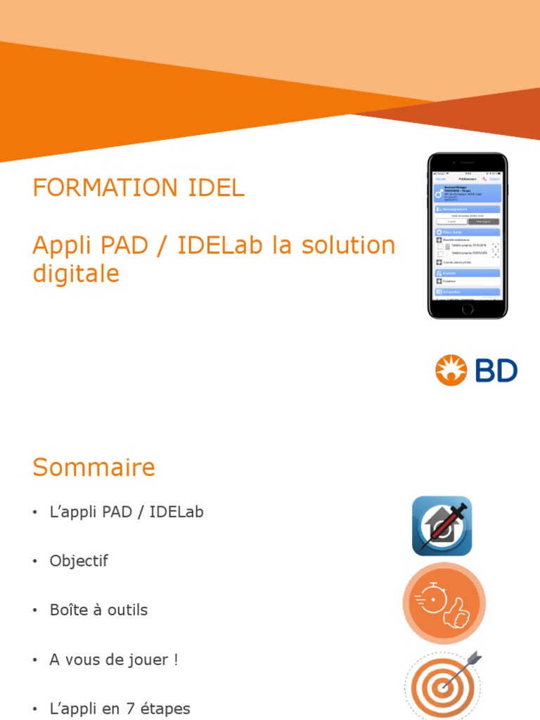 Idelab pdf application informatique