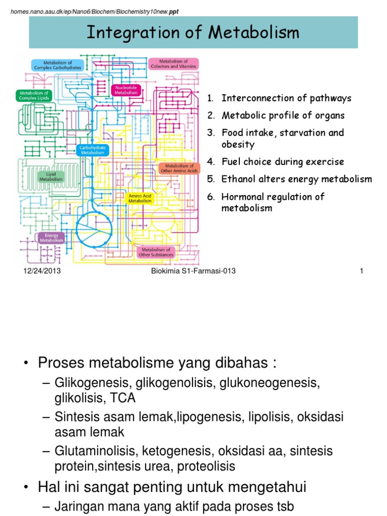 Metabolic Pathways Overview | PDF | Glucose | Metabolism