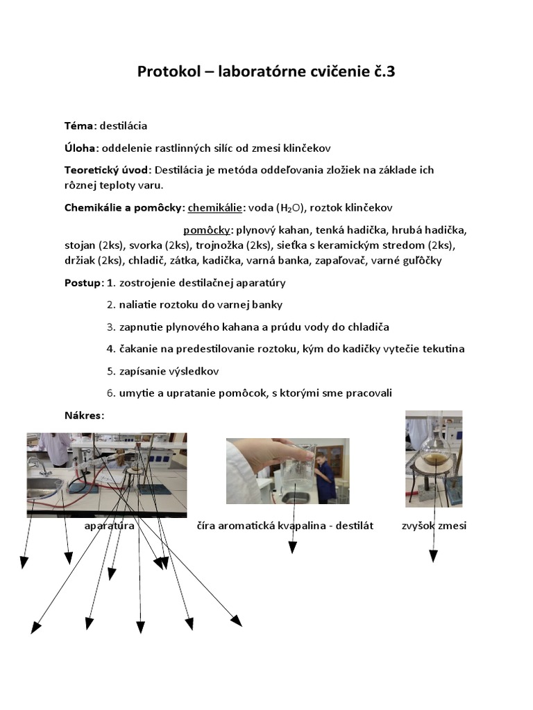 Protokol č.3 | PDF
