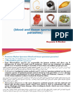 Lab 9,10 Sporozoaمترجم