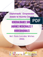 Guía Jabones Medicinales y Biodegradables (Generalidades)