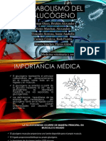 Metabolismo Del Glucógeno