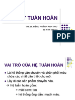 Bài Giảng PPT Giai Phau Sinh Ly Tuan Hoan - Dược CQ, VB2