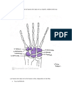 Tarea TP5