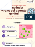 Enfermedades Virales Del Aparato Genital.