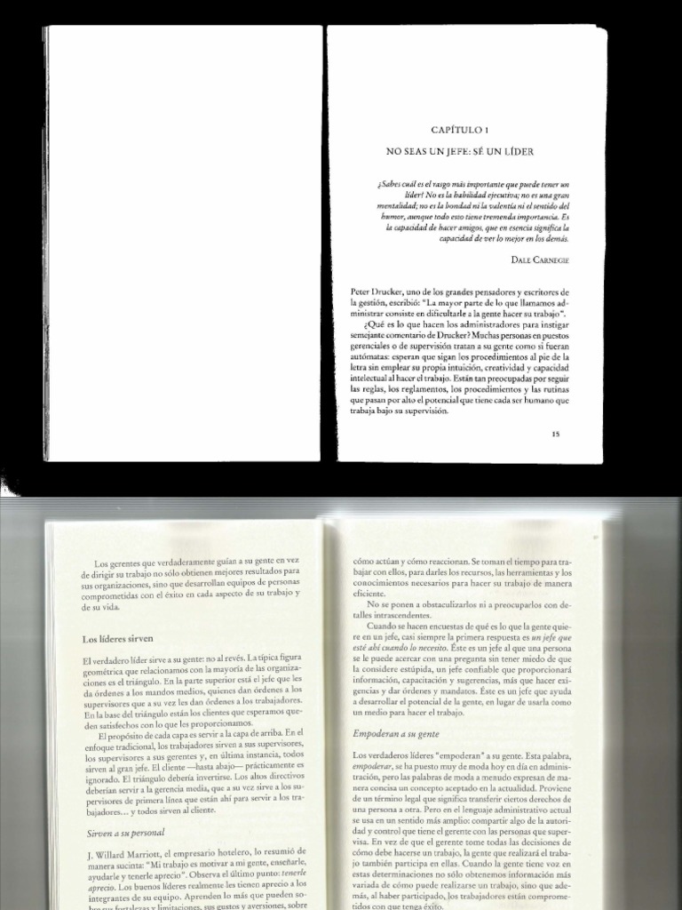Libro Completo Como Ser Un Buen Lider | PDF | Liderazgo | Marketing