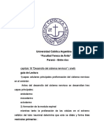 Respuestas de Capitulo 18 Desarrollo Del Sistema Nervioso (Snell)