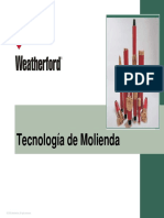 Presentacion Molinos-Wft