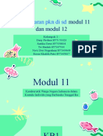 PKN Modul 11 Dan 12