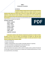 TEMA 2 Anatomia Basica