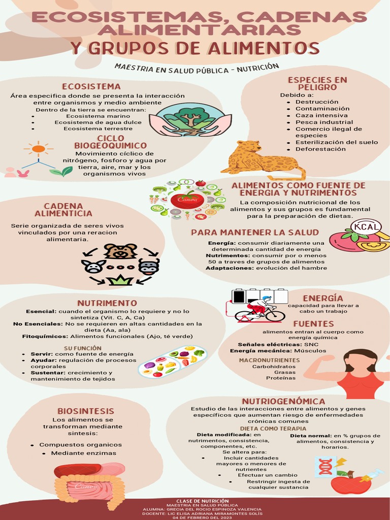 Infografia Nutricion Pdf Nutrientes Alimentos