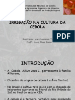 Irrigação Na Cultura Da Cebola