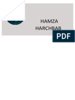 Hamza CV