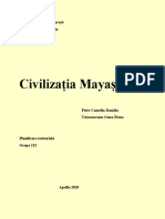Civilizatia Mayasa