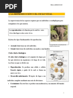 La Reproduccion 2 Secundaria V Exp.