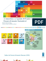 Panamazonico Biblio Port Amazonia Agenda2030