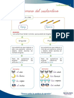 Singular y Plural