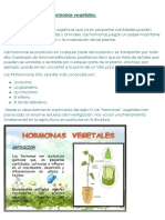 Clase y Actividad. Hormonas Vegetales