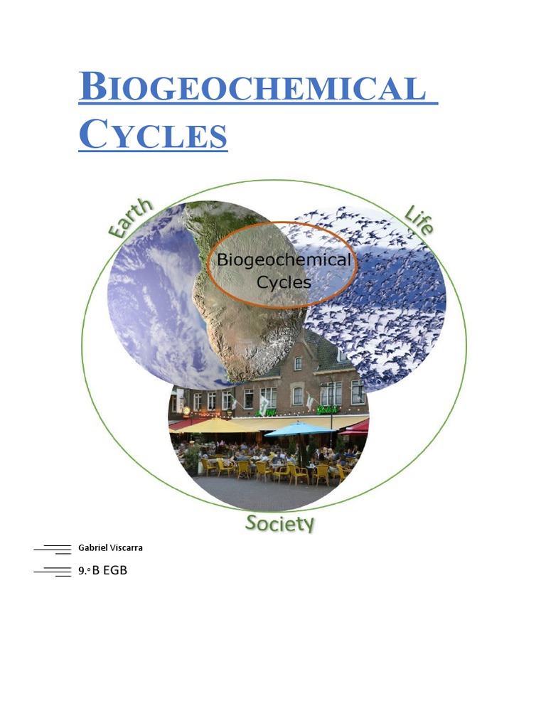 Biogeochemical Cycles Pdf Sulfur Ecosystem