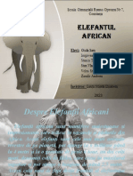 Elefant Scoala