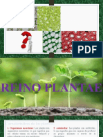 Reino Plantae