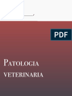 Patología Veterinaria Teoría 
