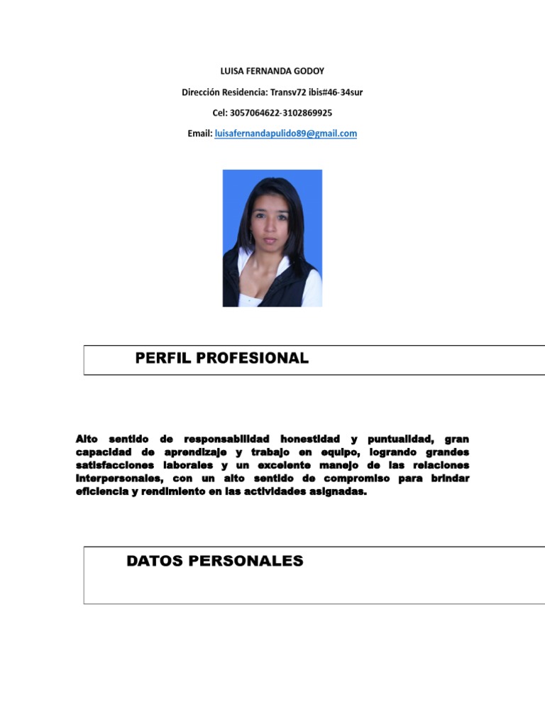 Perfil Profesional de Luisa Godoy | PDF