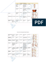 Tablas de Musculos - Compress