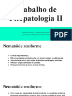 Trabalho de Fitopatologia II