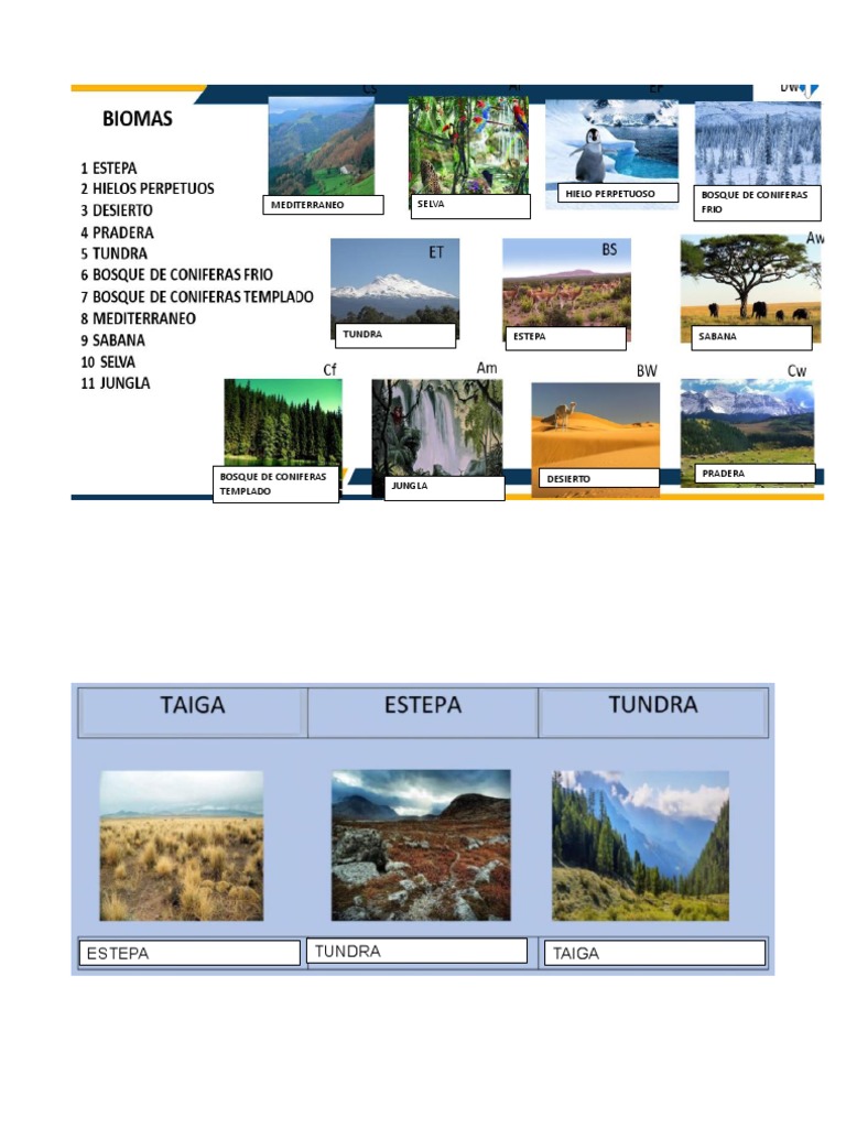Tipos de Biomas y Ecosistemas Naturales | PDF