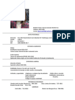 Vitae Modificado PDF