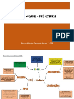 Mapa Mental - Pré - História 2