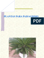 Plantas Paisagismo