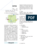 Sulfonilurea