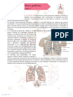 Semiologia Do Tórax e Pulmões