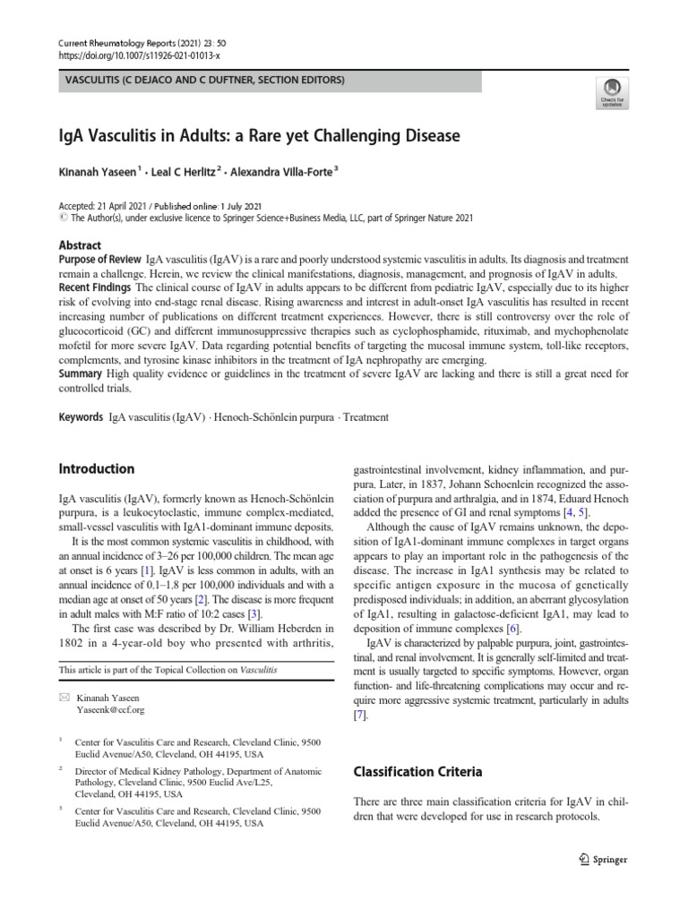Iga Vasculitis In Adults A Rare Yet Challenging Disease Pdf Kidney