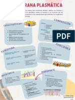 Infografía Membrana Plasmatica (29.7 × 42 CM)