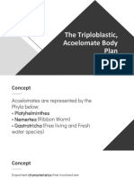 Module 9 - The Triploblastic, Acoelomate Body Plan
