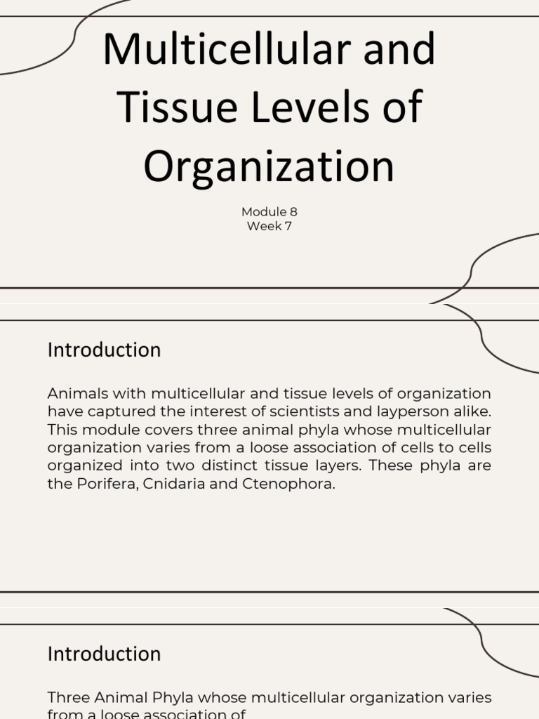 Module 8 MultiCellular and Tissue Levels of Organization PDF