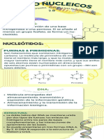 Ácido Nucleicos