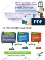 Principio de Gratuidad