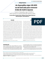 Aspergillus Com Solução de Vishniac