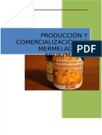 Dokumen.tips Produccion y Comercializacion de Mermelada de Aguaymanto