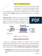 Lecture 2 - Antigen Presentation