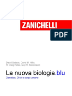 Struttura Del Dna Sadava b2