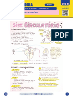 11 3 Sistema Circulato Rio Mapa Mental Questo Es de Revisa o PDF